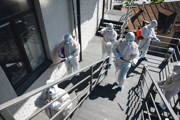Asbestos and Lead Testing During Mold Inspection in Lake Of The Woods, AZ