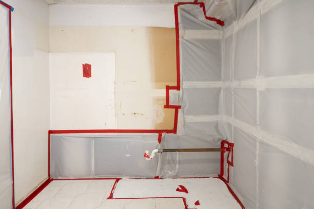 Best Mold Remediation for Healthcare Facilities  in Lake Of The Woods, AZ