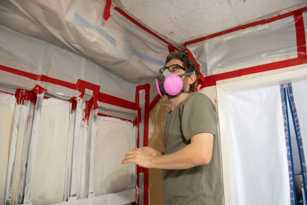 Best Post-Construction Mold Inspection  in Lake Of The Woods, AZ
