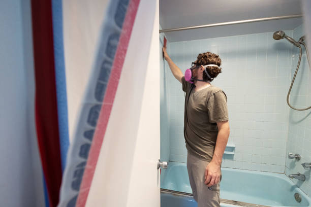 Best Basement Mold Removal  in Lake Of The Woods, AZ