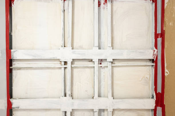 Best Black Mold Removal  in Lake Of The Woods, AZ