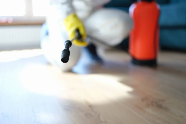 Best Mold Prevention Services  in Lake Of The Woods, AZ