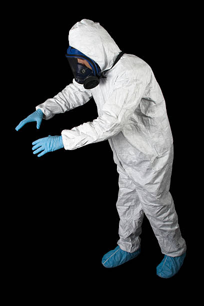 Professional Mold Removal in Lake Of The Woods, AZ