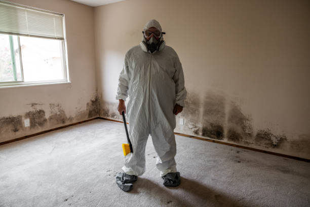 Best Emergency Mold Remediation  in Lake Of The Woods, AZ